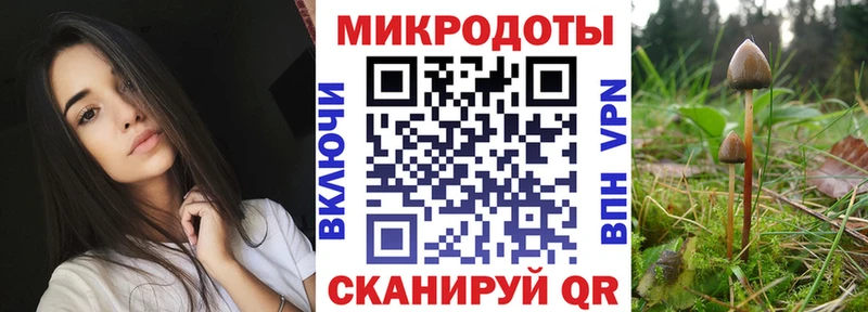 Галлюциногенные грибы MAGIC MUSHROOMS  Купить закладки  Будённовск 